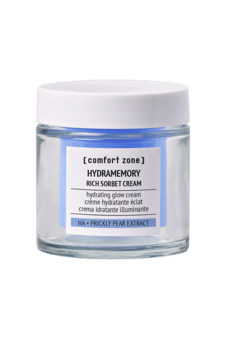 Hydramemory Rich Sorbet Cream