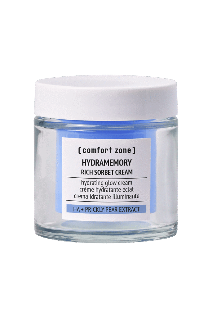 Hydramemory Rich Sorbet Cream